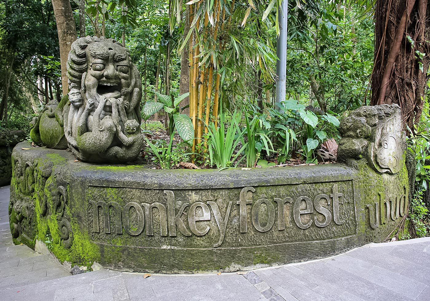Wisata Monkey Forest di Bali