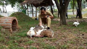 Taman Kunci, Tempat Bermain Seru Sambil Menggali Ilmu di Dekan Skandinavia Apartment