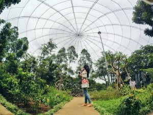 Taman Kunci, Tempat Bermain Seru Sambil Menggali Ilmu di Dekan Skandinavia Apartment