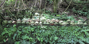 4. Pemakaman Trunyan, Bali