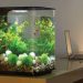 10 Ide Kreasi Aquarium Mini di Apartemen yang Keren dan Minimalis