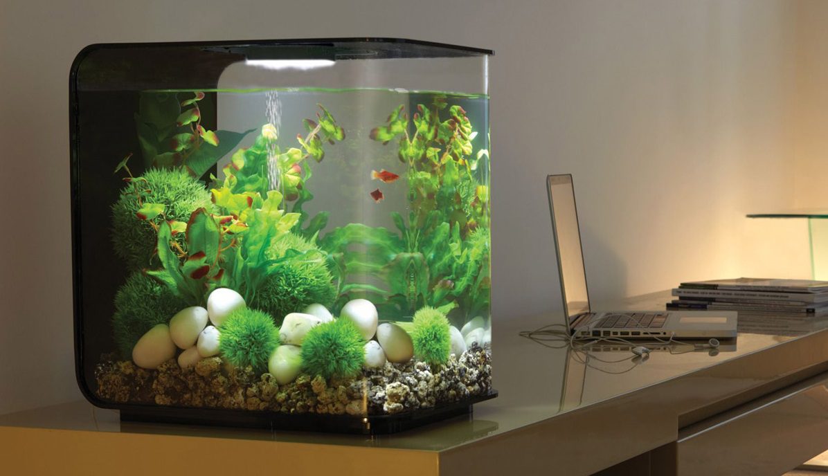 10 Ide Kreasi Aquarium Mini di Apartemen yang Keren dan Minimalis
