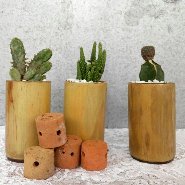 Membuat Pot dari Bambu