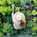 Hobi Ramah Lingkungan 2026: Urban Gardening dan Sustainable Living